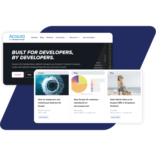 Navy parallelogram with acquia developer portal screenshots